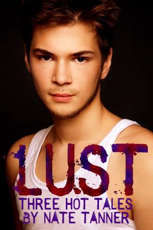Cover of the book Lust: Three Hot Tales by Nate Tanner