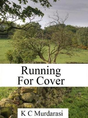 Cover of the book Running for Cover by Ethan Day
