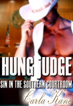 Cover of the book Hung Judge: Sin in the Southern Courtroom by Carla Kane