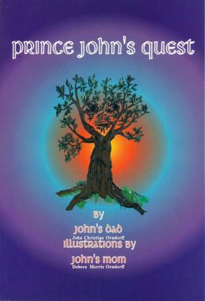 Book cover of Prince John's Quest