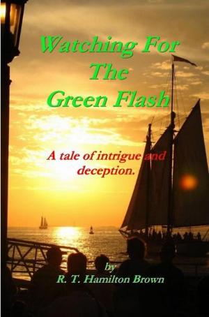 bigCover of the book Watching For The Green Flash by 