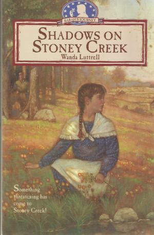Book cover of Shadows on Stoney Creek