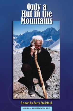 Cover of the book Only a Hut in the Mountains by J.C. Hulsey
