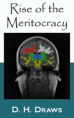 Cover of Rise of the Meritocracy