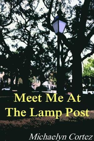 Book cover of Meet Me At The Lamp Post