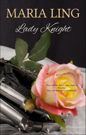Cover of the book Lady Knight by John Kendrick Bangs