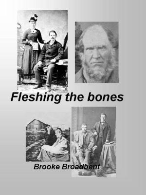 Cover of Fleshing the Bones