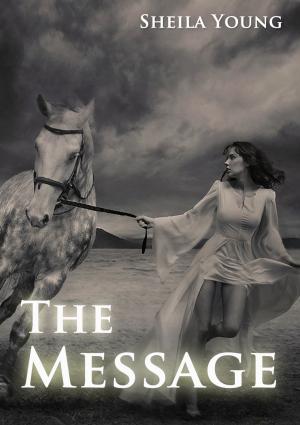 Cover of the book The Message by Boris Koch