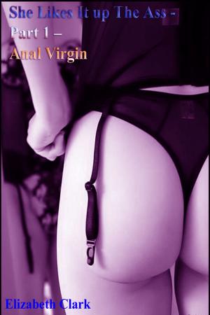Cover of the book She Likes It up The Ass: Part 1 – Anal Virgin by Christina Williams