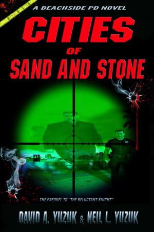 bigCover of the book Beachside PD: Cities of Sand and Stone by 
