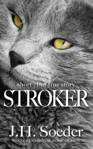 Cover of Stroker