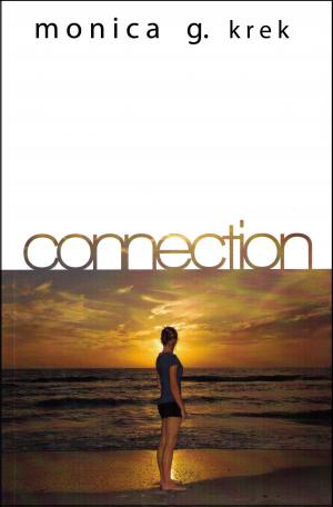 Cover of the book Connection by Jason Lee Norman
