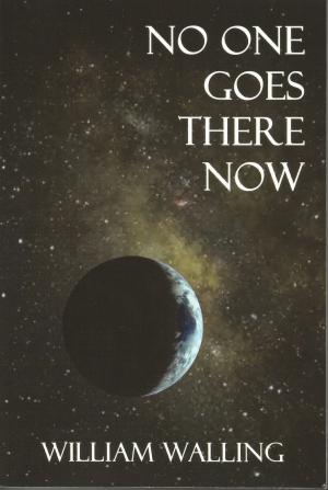 Book cover of No One Goes There Now