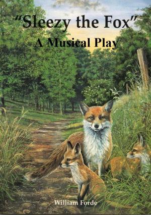 Cover of Sleezy the Fox Play