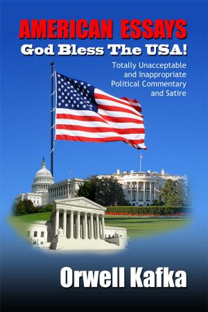 Cover of the book AMERICAN ESSAYS God Bless the USA! by James Harrold