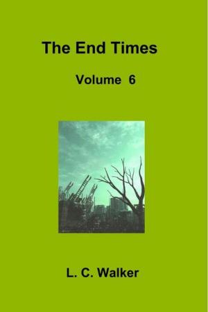 Cover of the book The End Times Volume 6 by Hushidar Hugh Motlagh