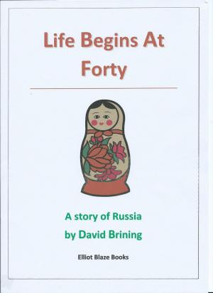 Cover of the book Life Begins At Forty by Mario Marzano