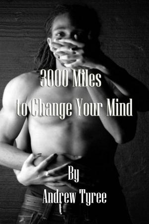 Cover of the book 3000 Miles to Change Your Mind by Wall Clock