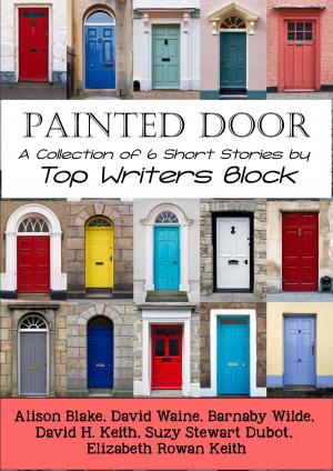 Book cover of Painted Door