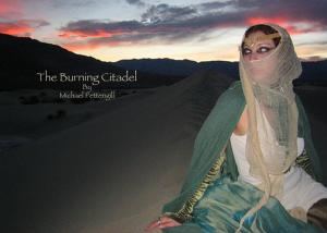 Cover of the book The Burning Citadel by Chrissie Buhr