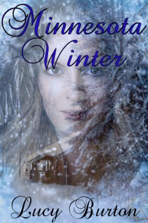 Cover of the book Minnesota Winter by R.H. Proenza