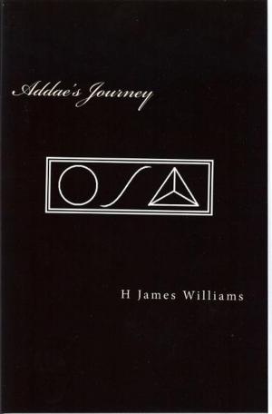 Book cover of Addae's Journey