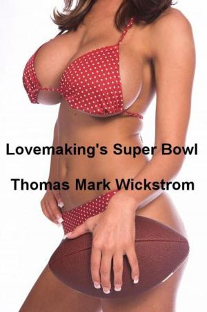 Book cover of Lovemaking's Super Bowl