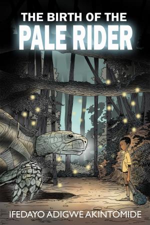 Cover of The Birth of the Pale Rider