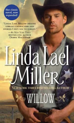 Cover of the book Willow by Julia James