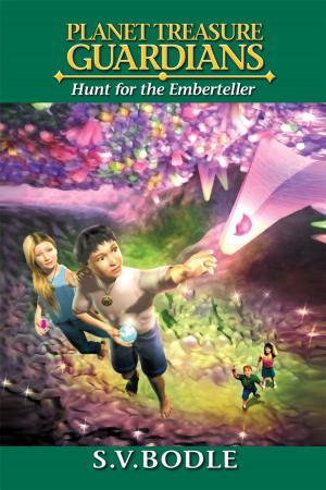 Book cover of Planet Treasure Guardians : Hunt for the Emberteller