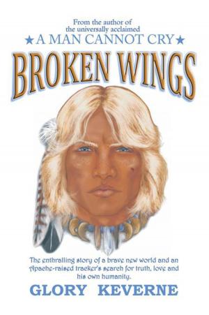 Cover of the book Broken Wings by Dr. Benjamin Dadebo