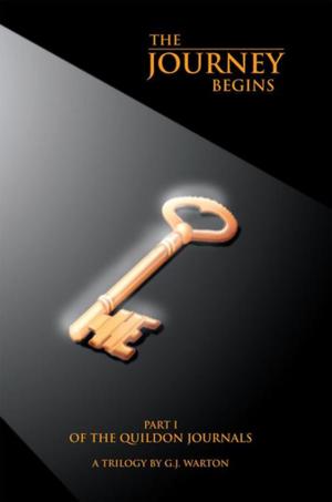 Cover of the book The Journey Begins by Jasmine Noreen
