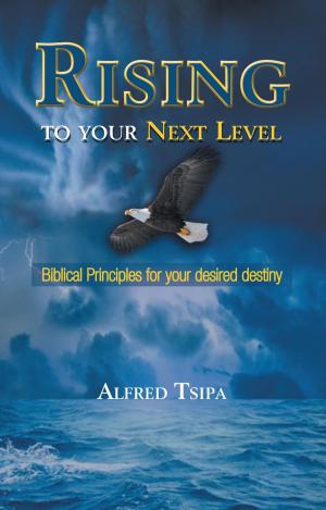Cover of the book Rising to Your Next Level by B. J. Newing