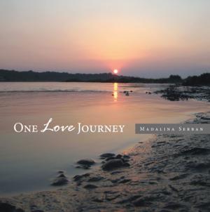 Book cover of One Love Journey