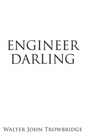 Cover of the book Engineer Darling by Catherine Braswell