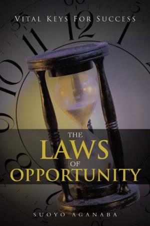 Cover of the book The Laws of Opportunity by Annemarie Struwe Cronin