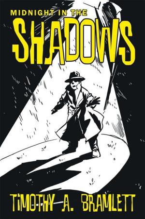 Cover of the book Midnight in the Shadows by Wolf Larsen