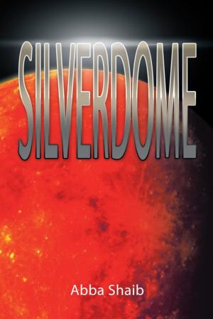 Cover of the book Silverdome by Murielle Bourdon