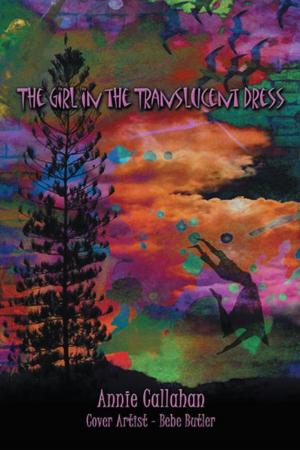 Cover of the book The Girl in the Translucent Dress by Armando Durán