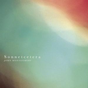 Cover of the book Sonnetcetera by Lesley June Doherty