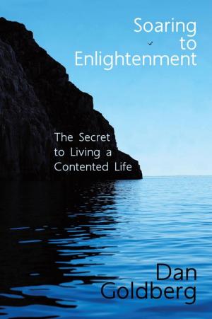 Cover of the book Soaring to Enlightenment by Michael Harris, Stephen Harris
