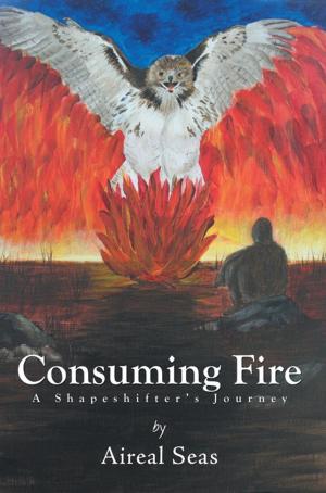 Cover of the book Consuming Fire by Evangelist Delmelodia Tipton