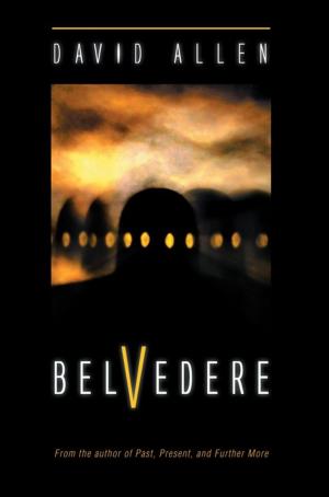 Cover of the book Belvedere by Peter J. Riga
