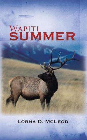 Cover of the book Wapiti Summer by Sally M. Russell