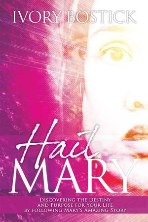 Cover of the book Hail Mary by J.V. Foster