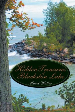 Cover of the book Hidden Treasures of Blackston Lake by Steven M. Solano, Sanderson M. Smith