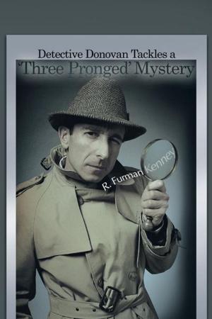 Cover of the book Detective Donovan Tackles a ‘Three Pronged’ Mystery by Stephen C. Hill