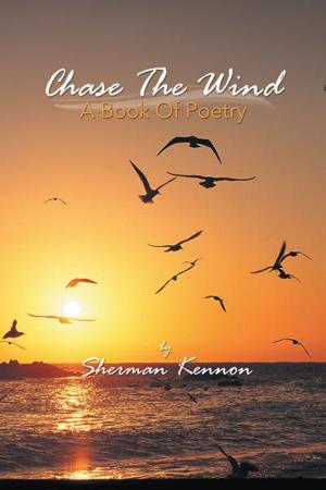 Cover of the book Chase the Wind by William Flewelling