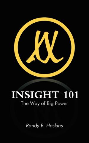 Cover of the book Insight 101 by Ingo Weigel