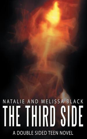 Book cover of The Third Side